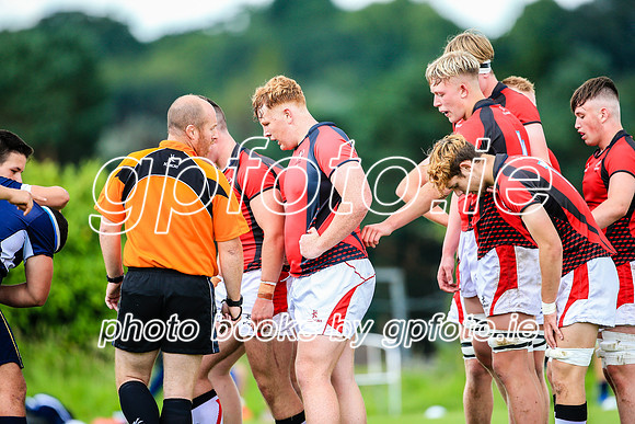 08-08-2019-SWYL4347.JPG