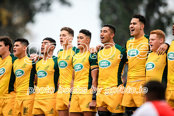 12-06-2019-SWYL2240.JPG