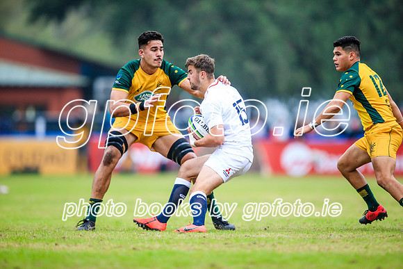 12-06-2019-SWYL2305.JPG