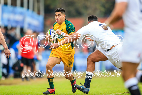 12-06-2019-SWYL2333.JPG