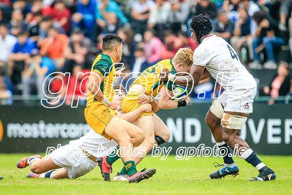 12-06-2019-SWYL2398.JPG