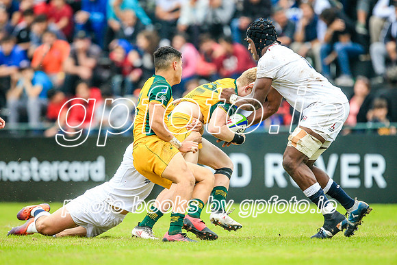 12-06-2019-SWYL2399.JPG