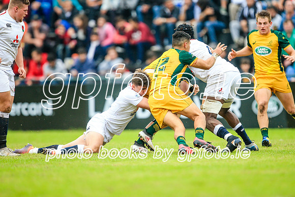 12-06-2019-SWYL2403.JPG