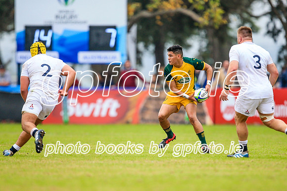 12-06-2019-SWYL2471.JPG