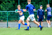 04-08-2019-SWYL3334.JPG