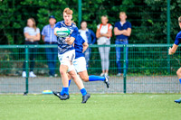 04-08-2019-SWYL3336.JPG