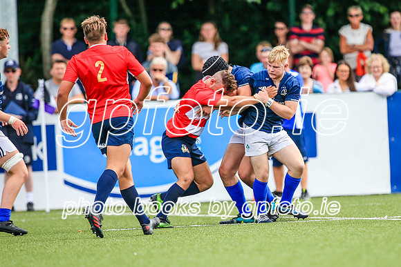 04-08-2019-SWYL3406.JPG