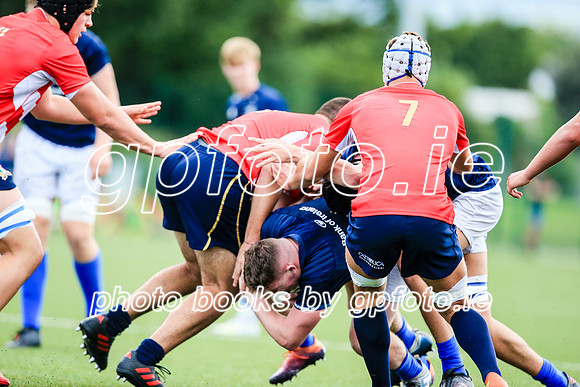 04-08-2019-SWYL3482.JPG