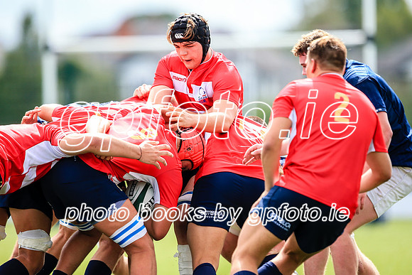 04-08-2019-SWYL3681.JPG