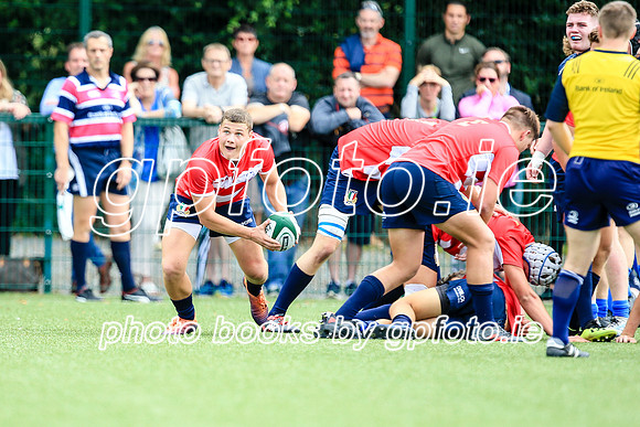 04-08-2019-SWYL3734.JPG