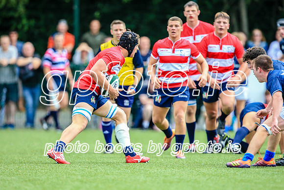 04-08-2019-SWYL3741.JPG
