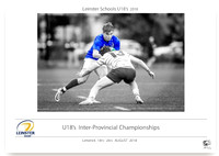 Leinster U18s interpros