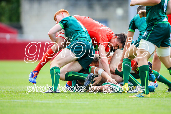16-08-2019-CGJ21238.JPG