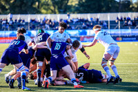 08-06-2019-SWYL8621.JPG