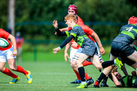 17-08-2019-CGJ22561.JPG