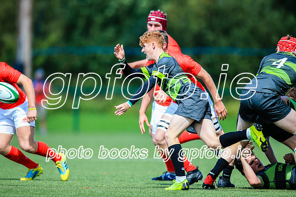 17-08-2019-CGJ22561.JPG