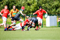 17-08-2019-CGJ22586.JPG