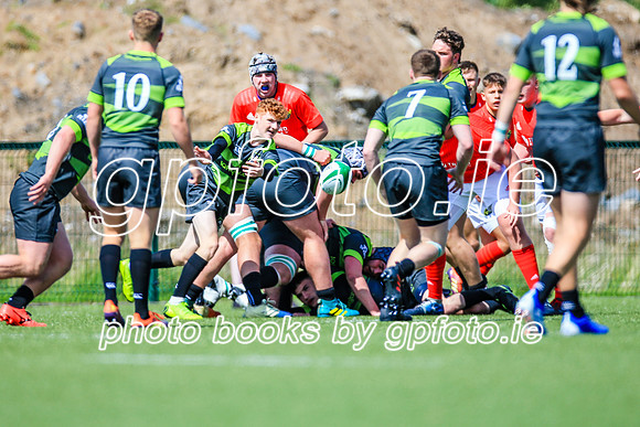 17-08-2019-CGJ22617.JPG
