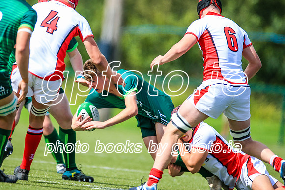 17-08-2019-CGJ23560.JPG