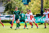 17-08-2019-SWYL7415.JPG