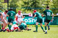 17-08-2019-SWYL7438.JPG