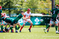 17-08-2019-SWYL7442.JPG