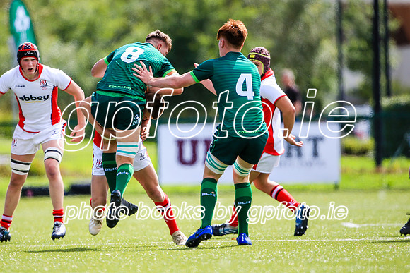 17-08-2019-SWYL7475.JPG