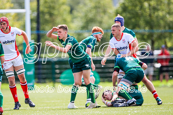 17-08-2019-SWYL7470.JPG
