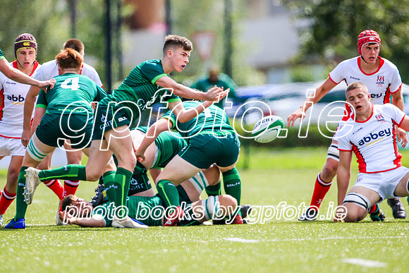 17-08-2019-SWYL7489.JPG