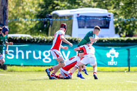 17-08-2019-SWYL8475.JPG