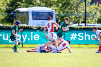 17-08-2019-SWYL8477.JPG