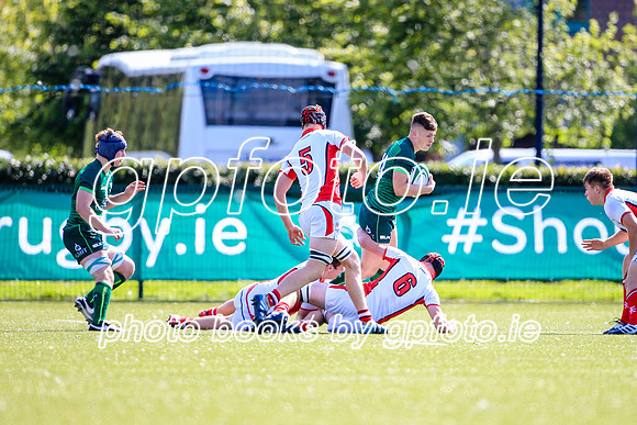 17-08-2019-SWYL8477.JPG