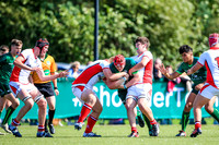 17-08-2019-SWYL8532.JPG