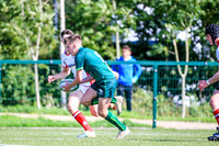 17-08-2019-SWYL8547.JPG