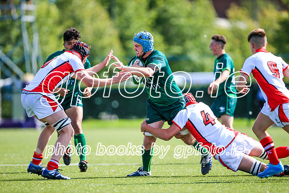 17-08-2019-SWYL8641.JPG