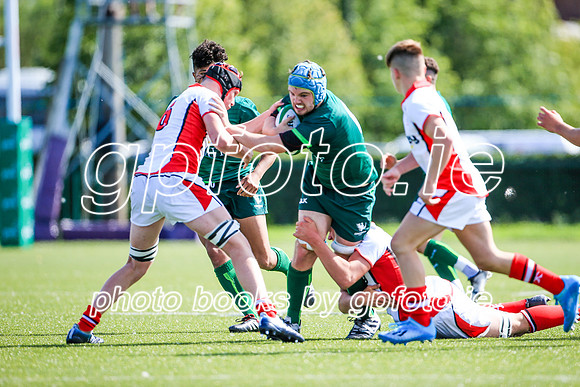 17-08-2019-SWYL8644.JPG