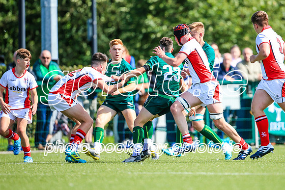 17-08-2019-SWYL8687.JPG