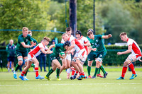 17-08-2019-SWYL9175.JPG