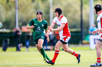 17-08-2019-SWYL9334.JPG