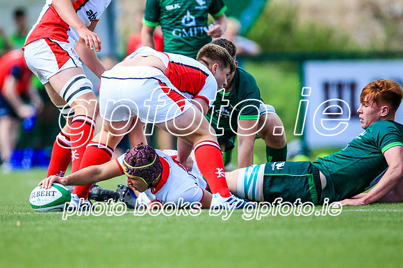 17-08-2019-CGJ23682.JPG