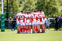 17-08-2019-SWYL7409.JPG