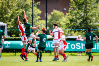 17-08-2019-SWYL7413.JPG