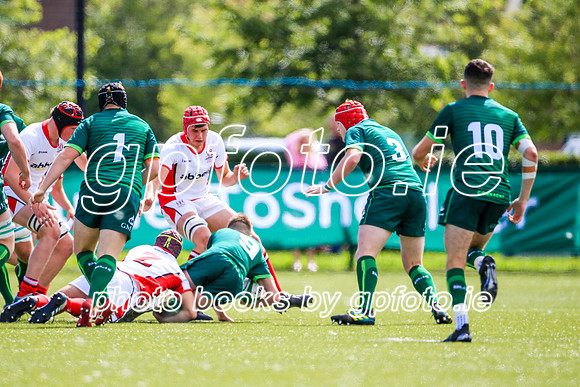 17-08-2019-SWYL7438.JPG