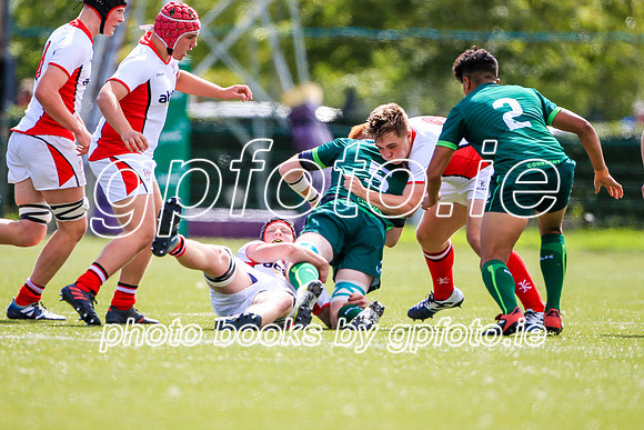 17-08-2019-SWYL7506.JPG