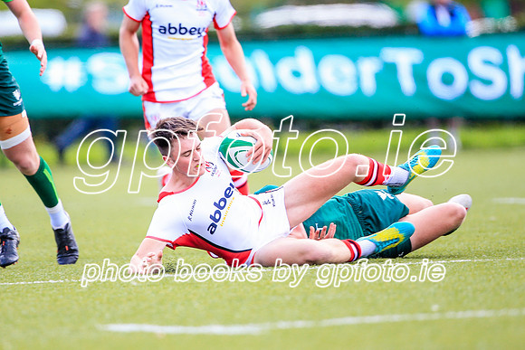 17-08-2019-SWYL7663.JPG