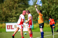 17-08-2019-CGJ24082.JPG