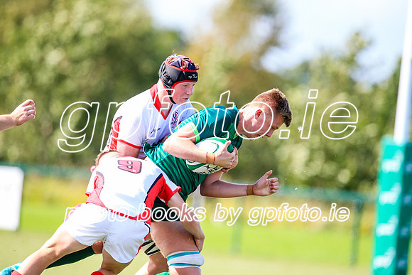 17-08-2019-CGJ24206.JPG