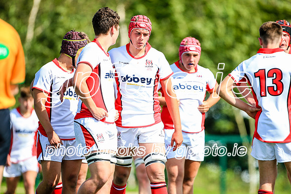 17-08-2019-SWYL8743.JPG