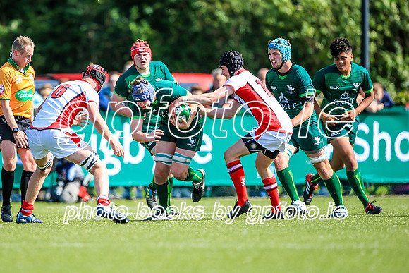 17-08-2019-SWYL8749.JPG