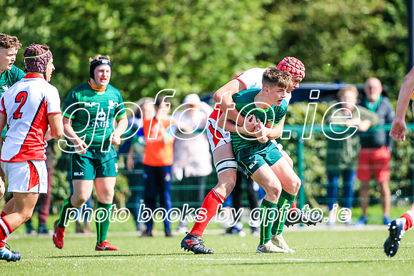 17-08-2019-SWYL8803.JPG